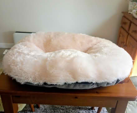 Photo of free New Dog Cushion (Birmingham B44) #1