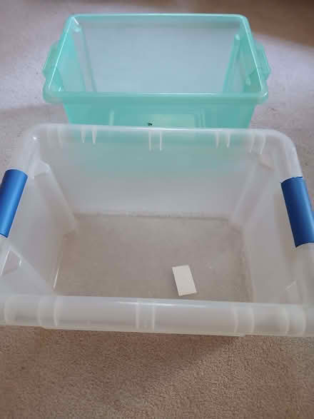 Photo of free Plastic storage tubs (Bear Flat BA2) #1