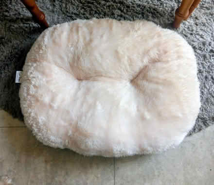 Photo of free New Dog Cushion (Birmingham B44) #3