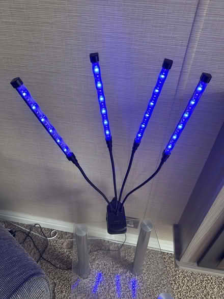 Photo of free LED Plant growing lights (Little Birch HR2) #2