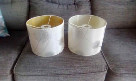 Photo of free lampshades (Waterlooville) #1