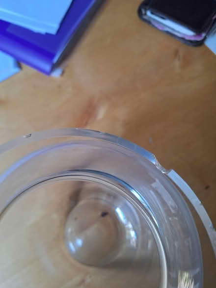 Photo of free Vase, but needs tlc (crouch end, N8) #3