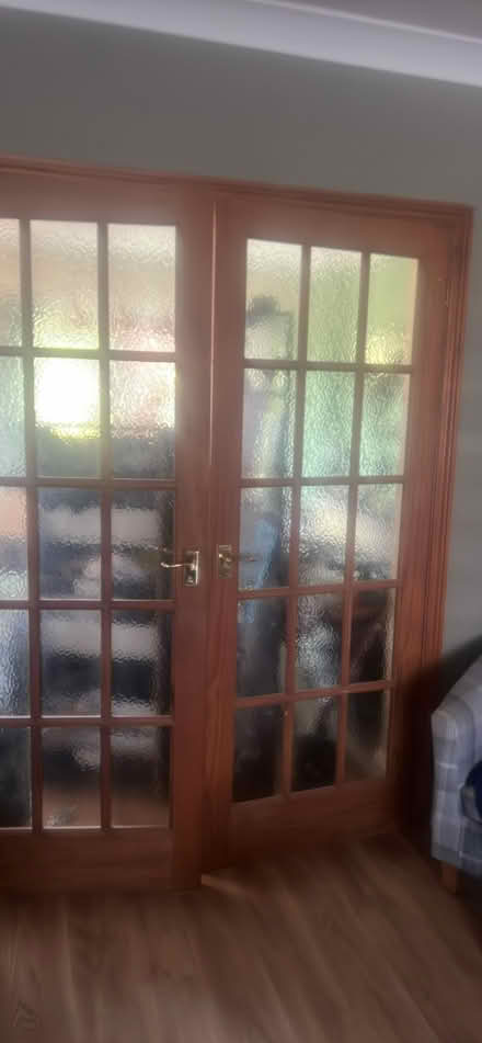 Photo of free French doors (Whiton TW45LU) #1