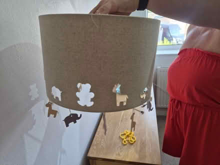 Photo of free Child's ceiling light shade (Shrewsbury SY2) #2