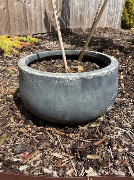 Photo of free Planters (Cottam PR4) #2