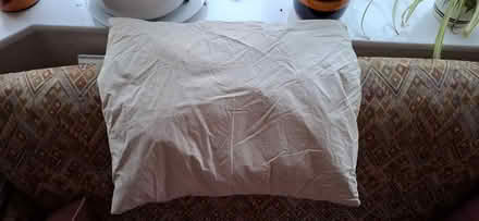 Photo of free Feather Cushion (No Cover) (Harrogate HG1) #1