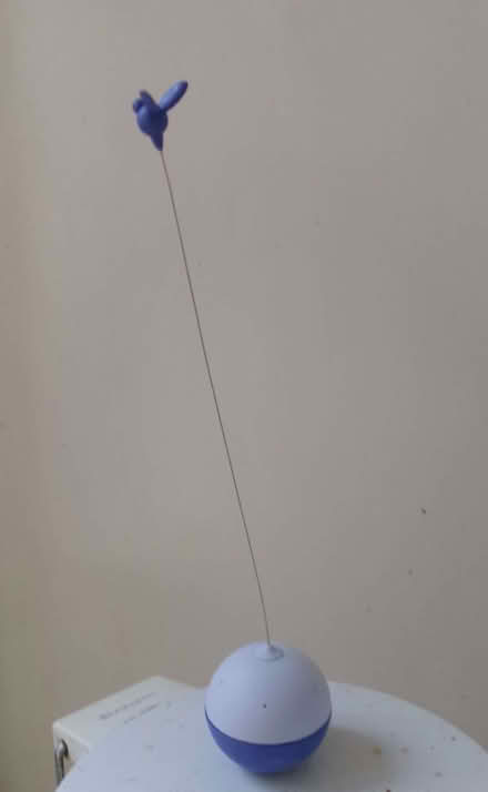 Photo of free Cat toy (Jericho OX2) #1