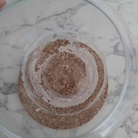 Photo of free Round glass bowl (Seaside BN22) #2