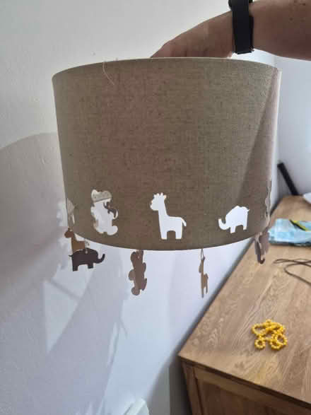 Photo of free Child's ceiling light shade (Shrewsbury SY2) #1