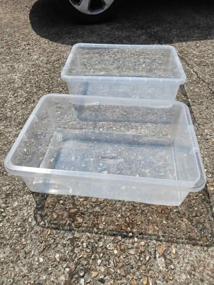 Photo of free 2 x plastic trays (Hurst Park, Molesey KT8) #2