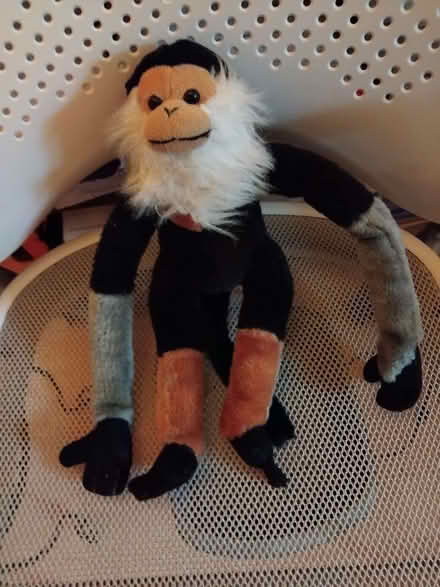 Photo of free Soft toy monkey (islington N1) #1