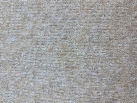 Photo of free Temporary Carpet (Ducklington OX29) #1