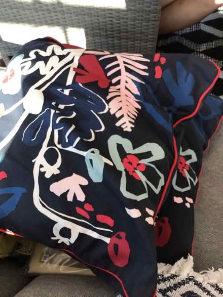 Photo of free Cushions (Wellington TA219AR) #1