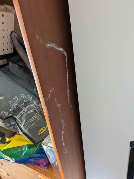 Photo of free Schreiber cabinet with mirror (Chester Road M15) #3