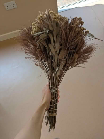 Photo of free Pink / purple dried flowers (AL1 Sopwell) #1