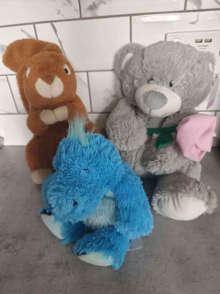 Photo of free Teddies (Greengates BD10) #1