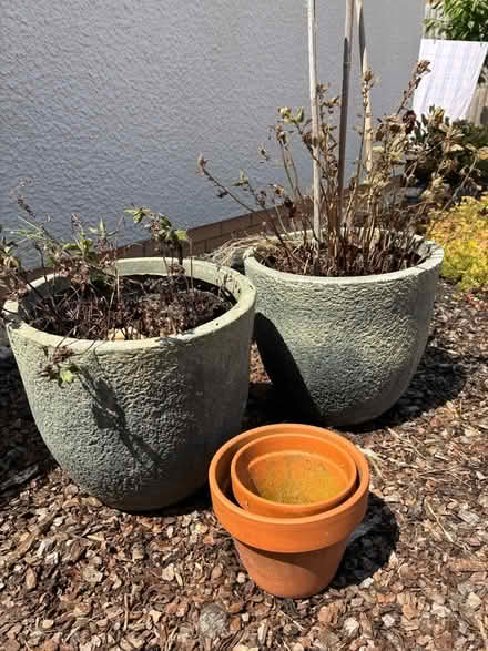 Photo of free Planters (Cottam PR4) #1