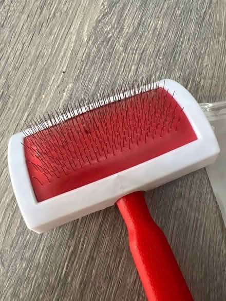 Photo of free Detangling Brush for Sheepskin Rug. (Southsea PO4) #2