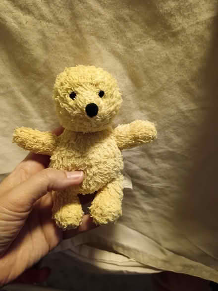 Photo of free Pooh Bears (St. Stephen's CT2) #2