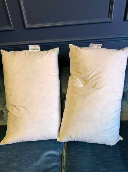 Photo of free 2 king size pillows (Fulham SW6) #1