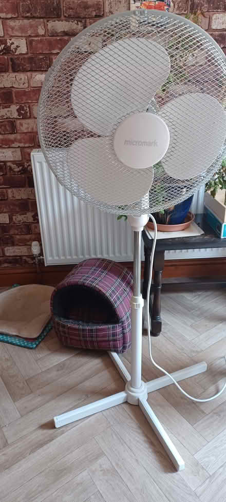 Photo of free Fan (B63 halesowen) #1