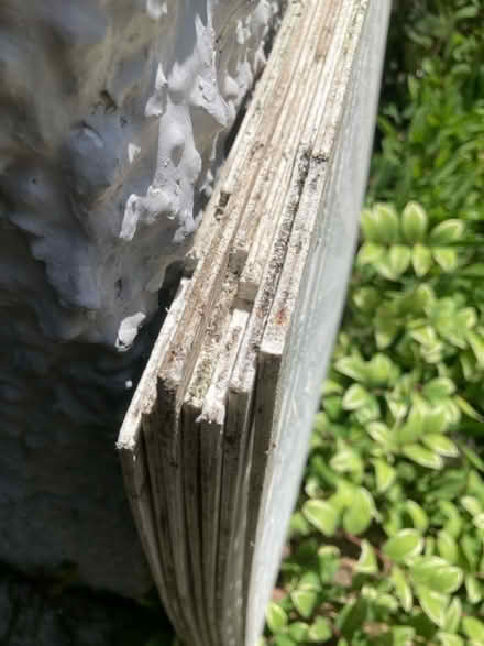 Photo of free Plastic trellis w/mounting frames (Petworth/ Park View) #2