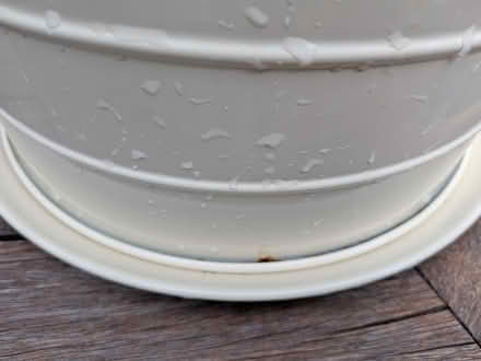 Photo of free Cake tin (Welwyn Village, AL6) #3