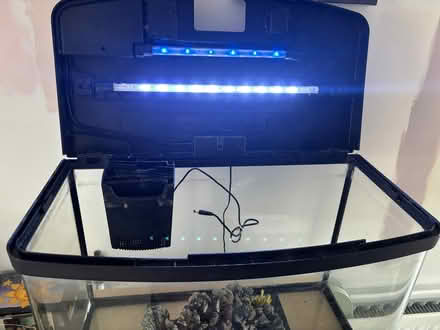 Photo of free 65 litre Fishtank (Great Baddow CM2) #2