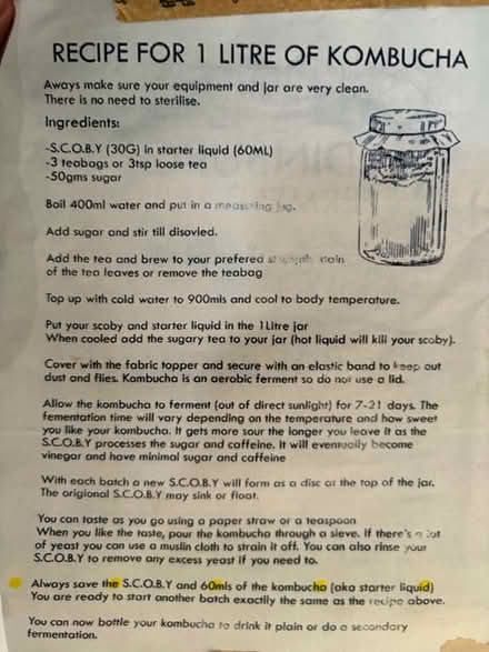 Photo of free SCOBY for making kombucha (Windermere LA23) #1