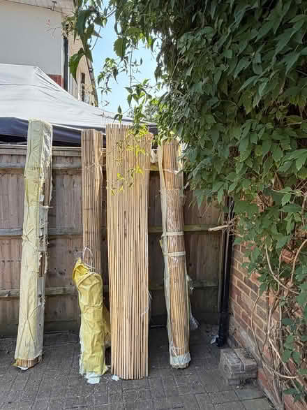 Photo of free Bamboo screening (Andover) #1
