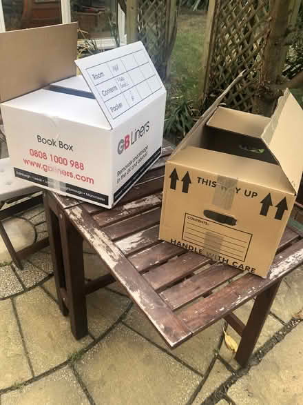 Photo of free Moving Boxes (Pebsham TN40) #1