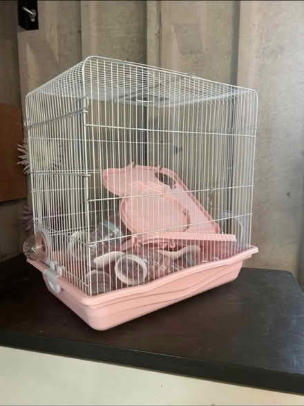 Photo of free Hamster / mouse cage (Brasside) #1