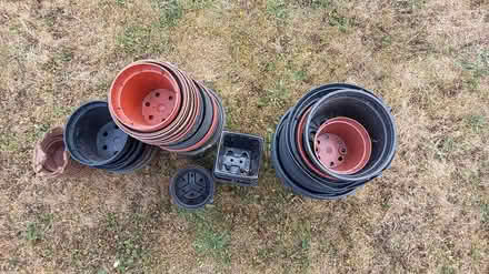 Photo of free Plastic plant pots, lots (Central Letchworth) #2