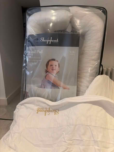 Photo of free Sleep head Grand Pod (Goodnestone ME13) #1