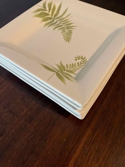 Photo of free Appetizer plates - Square Fern (South end of Boulder) #2