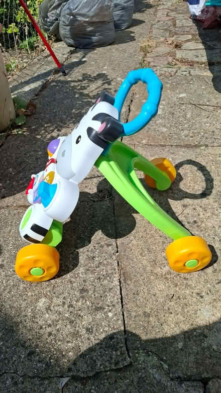 Photo of free Fisher-price baby walker (Caversham RG4) #2
