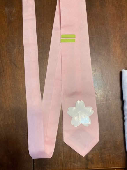 Photo of free Half a costume for Hatsune Miku (Petworth/ Park View) #3