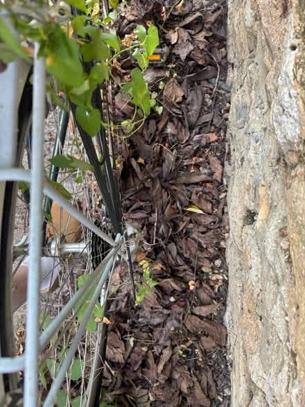 Photo of free Bicycle (Abingdon OX14) #4