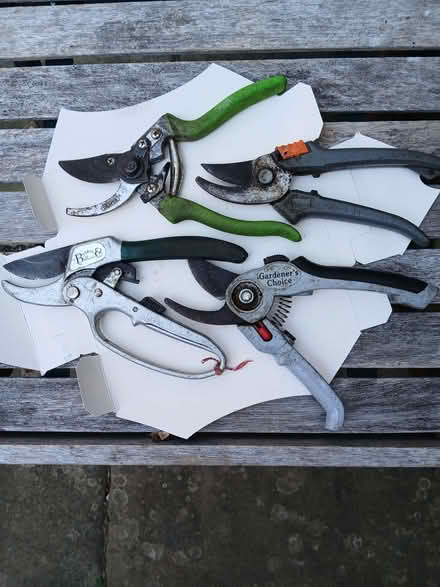Photo of free Old Secateurs (University Area RG1) #1