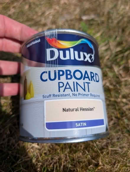 Photo of free Various decorating paint (Duddingston, EH8) #1