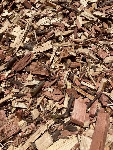 Photo of free wood chips (Monta Loma neighborhood of MV) #1