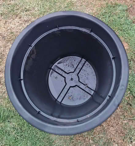 Photo of free Large plant pot (South Wootton PE30) #1