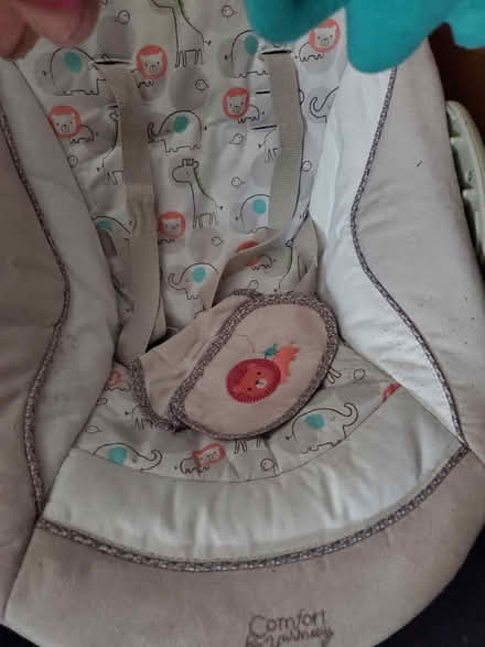 Photo of free Baby swing (Splott CF24) #2