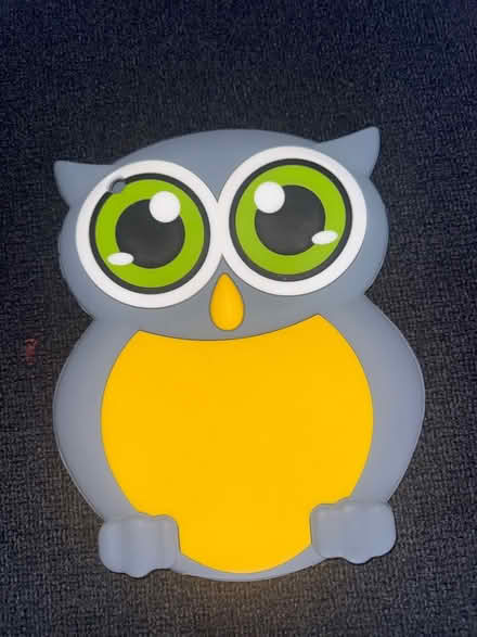 Photo of free Mini IPad Case #2 (Jamaica Queens) #1