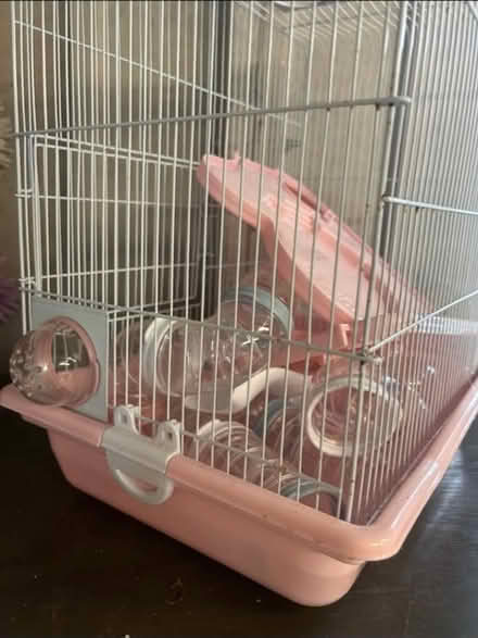 Photo of free Hamster / mouse cage (Brasside) #2