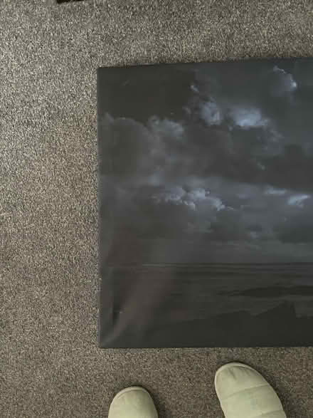 Photo of free Large picture (Tamworth B77) #2