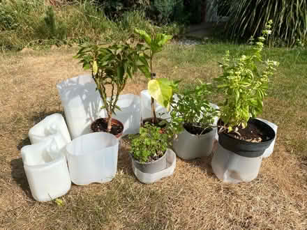Photo of free Plastic plant drip trays or litre tubs (Abbotswood GL3) #1