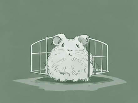 Photo of free Large guinea pig / rabbit cage (Addiscombe CR0) #1