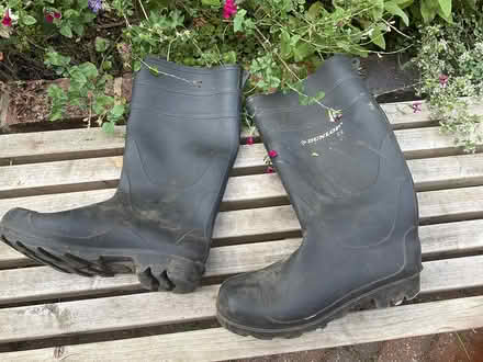 Photo of free Wellies size 9 (Hampton TW12) #1