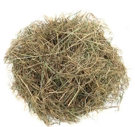 Photo of Small quantity of hay or straw (Norton Lees S8) #1